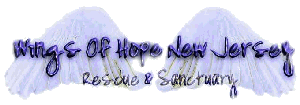 www.WingsOfHope-NJ.com